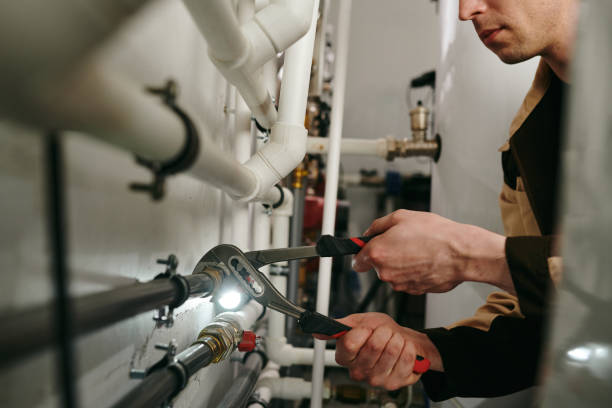 Best Clogged Drain Plumber  in Hinckley, IL