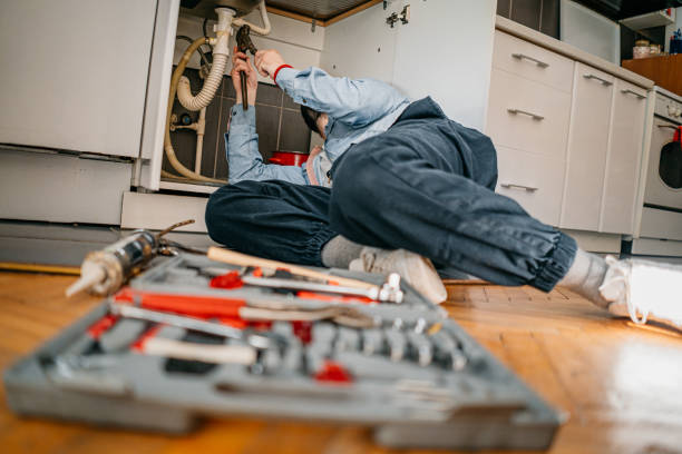 Best Same-Day Plumbing Service  in Hinckley, IL