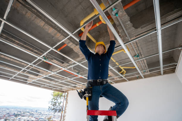 Best Affordable Plumber Near Me  in Hinckley, IL