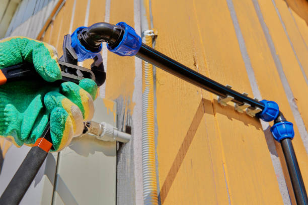 Best Local Plumber Services  in Hinckley, IL